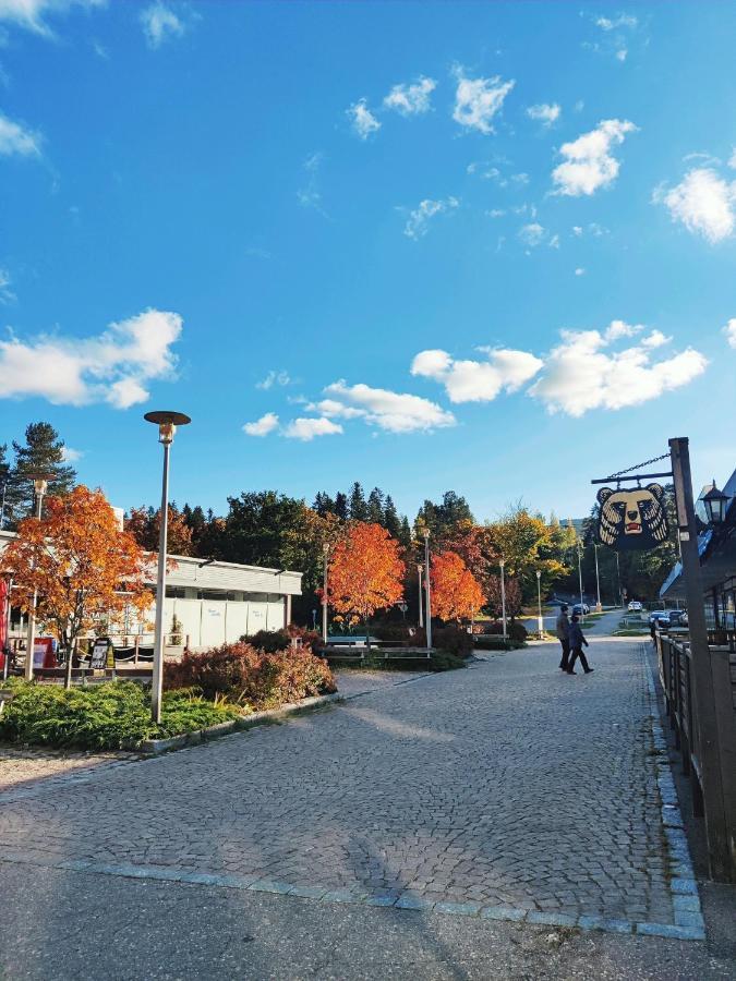 Joutjaerven Studio Apartment Lahti Eksteriør billede